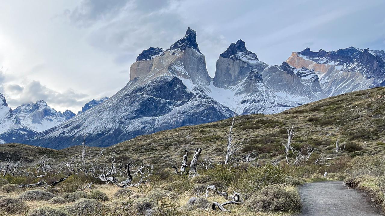 Cuernos del Paine entre árboles quemados