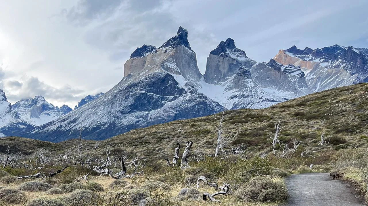 Cuernos del Paine entre árboles quemados