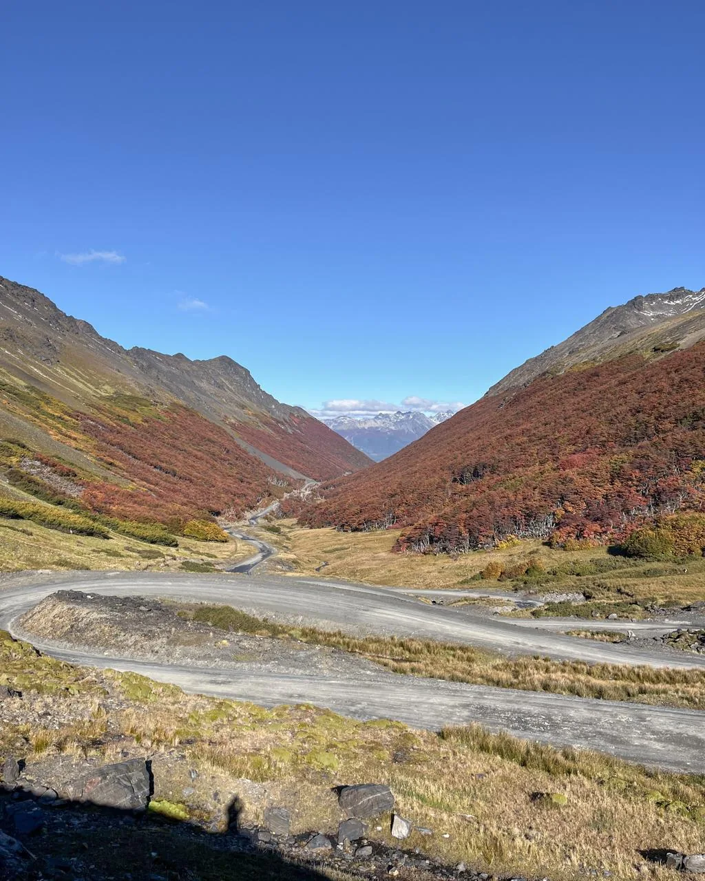 Camino de ripio entre montañas y bosque de otoño en Parque Karukinka