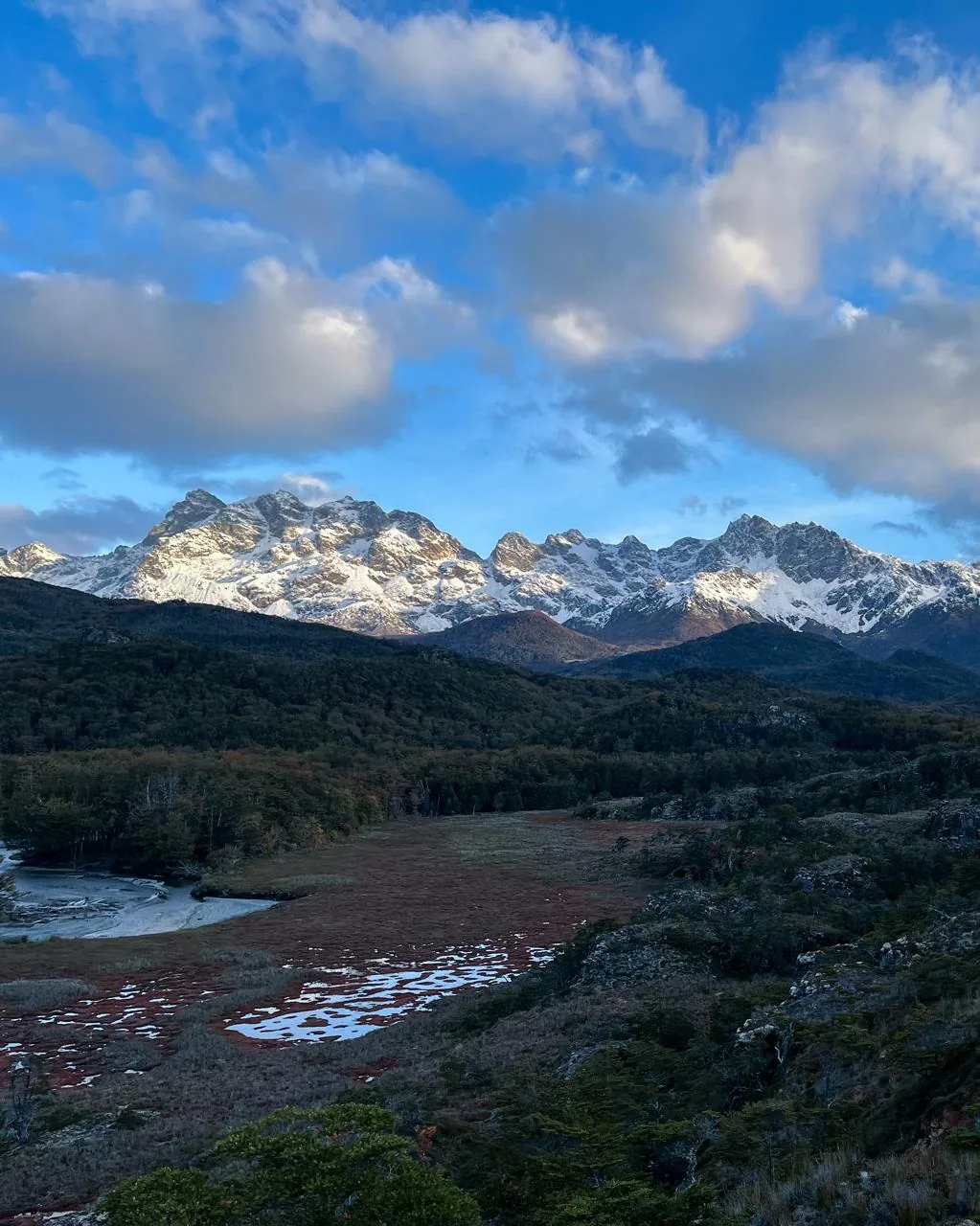 Bosque y precordillera nevada en Parque Karukinka, Tierra del Fuego